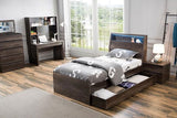 Asgard Suite (Standard Bed with Trundle Option) sdlisuo